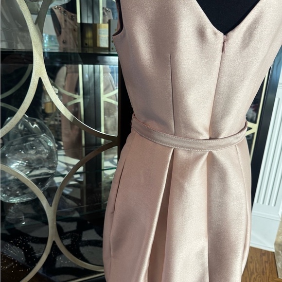 Eliza J Blush Embellished Dress - Picture 8 of 12